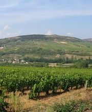 Domaine Dessauge France image 7