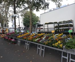 BJL Potager image 19