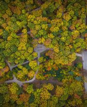 Naturfriedhof Banz Bild 1
