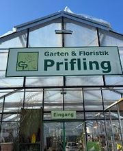 Garten & Floristik Prifling Bild 12