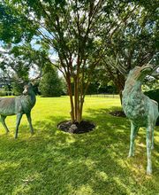 Woodfield Outdoors image 2