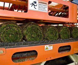 Fertigrasen-Farm Winkel-KG Bild 3