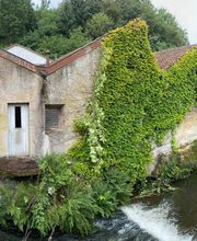 Jardins Arborés image 12