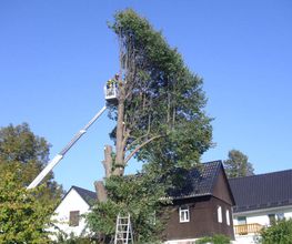 Die Helfende Hand GmbH und Co.KG Bild 2
