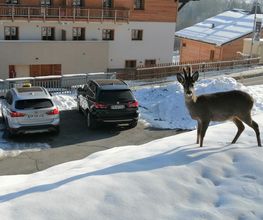 Taxi Didier image 6