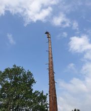 Entreprise Lecoq image 9