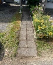 Haus-&Gartenservice Rose Bild 18