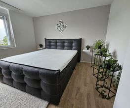 Maler Petarra GmbH Bild 4