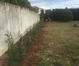 LB Paysage image 14