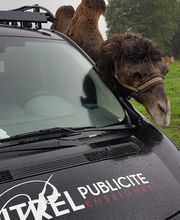 Pixel Publicité image 7