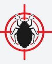 M R CAPITAINE image 1