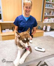 ClinicVet Vétérinaire Blangy-sur-Bresle image 3