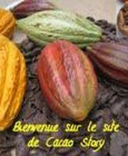 Cacao Story image 1