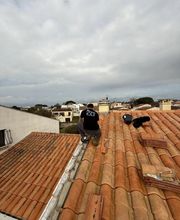 WRL Compagnon image 3