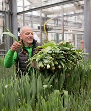 Sommerer & Co Bild 12