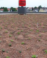 Dachbau Luber GmbH & Co. KG Bild 4