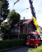 Grünplus AG Lehmann Bild 6