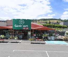 GAMM VERT image 4