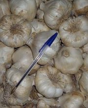 CEBESTUR,S.L. imagen 3