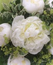 Un Vent De Fleurs image 6