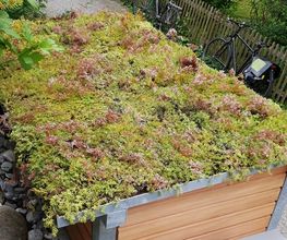 LUTZ Gartendesign GmbH Bild 3