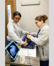 Oath Animal Hospital image 8