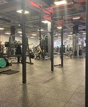 Gimnasio VivaGym Odeón imagen 16