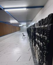 ASIC Miner Mining Farm Aircooled UAE Rack