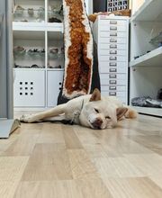 N-G-L-Shop Bild 3
