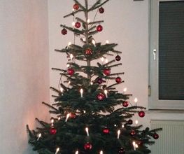 Malteser Hilfsdienst e.V. Heppenheim Bild 2