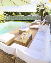 Albizia Paysage Lucas image 4