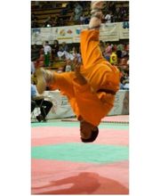 KMANTIS ASSOCIATION WUSHU ACADEMY - Roma immagine 3