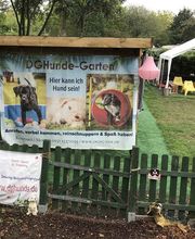 dorothea gawol Bild 2