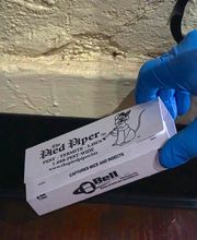 Pied Piper Pest, Termite & Lawn Service image 3