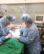 Centro Veterinario Preluna Bild 3