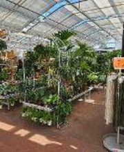 HORNBACH Gartencenter Leipzig-Eutritzsch Bild 2