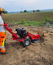 Baumdienst Daniel Laker Bild 5