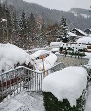 Birkenstübchen Bild 5