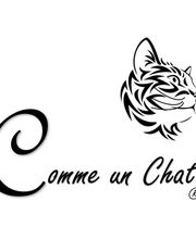 Comme Un Chat image 11