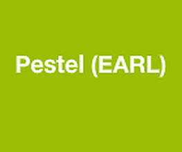 Pestel image 3