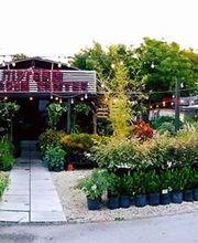 Midtown Garden Center image 1
