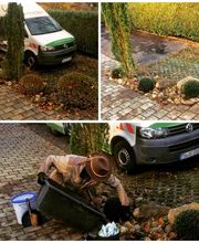 Andreas Steger, Forst- und Gartenservice Bild 3