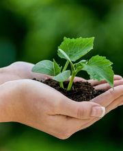 BeCoSe - Beratung, Coaching & Seminare Bild 3