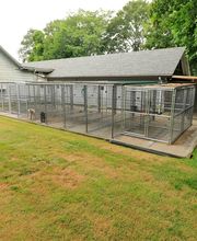 East Hampton Veterinary Group image 2