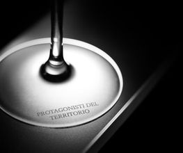 Gialdi Vini SA Bild 8