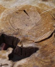 Menuiserie Duvernois image 4