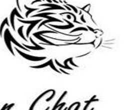 Comme Un Chat image 14
