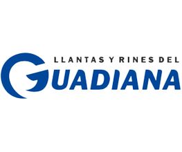 Michelin Car Service - Llantas y Rines del Guadiana Francisco Villa 2 imagen 3