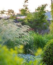 Gerber Gärten AG / Gerber Blumen Bild 2