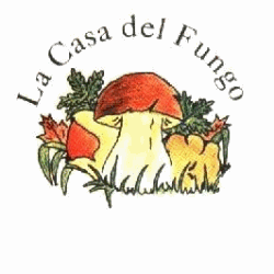 La Casa del Fungo logo